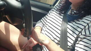 Naka ny vahoaka ny fiara fiara rehefa milalao miaraka amin&#039;ny kely pussy