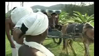 كما نيجراس دا senzala